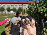 IMG-20250901-WA0038